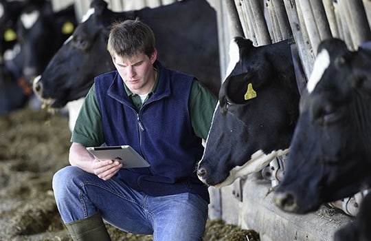 Landwirt bei der Datenerfassung