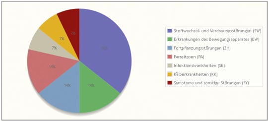 Infografik Tiergesundheit